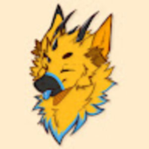 Meet your Posher, Luka